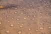 Il existe de drôles de zones désertiques de forme arrondie qui sont de véritables mystères pour la communauté scientifique. Les chercheurs commencent tout juste à en percer les secrets. On vous dit tout sur les cercles de fées !