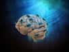 La stimulation électrique de deux zones distinctes du cerveau a amélioré la mémoire à court ou à long terme chez des personnes âgées.&nbsp;© Mopic,&nbsp;Adobe Stock
