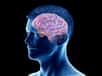 Le cortex préfrontal constitue la partie antérieure du lobe frontal. © Sebastian Kaulitzki, Adobe stock 