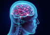 Le 10 avril, veille de la journée mondiale Parkinson, paraissait une étude montrant l’efficacité, chez l’animal, d’une nouvelle thérapie cellulaire. Dans cette expérience innovante, des chercheurs suédois ont transformé des astrocytes du cerveau en neurones à dopamine.