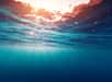 Une longue chaîne de causes à effets pourrait entraîner la réduction des zones mal oxygénées dans l'océan. © Dudarev Mikhail, Adobe Stock