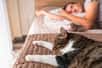 Avez-vous déjà observé votre chat dormir paisiblement à vos pieds pendant la nuit ? Ce comportement intrigant n'est pas le fruit du hasard mais résulte d'une combinaison fascinante d'instincts félins ancestraux et de besoins fondamentaux. Les scientifiques ont identifié plusieurs raisons biologiques expliquant cette préférence qui renforce le lien entre vous et votre compagnon à quatre pattes.