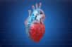 Des scientifiques américains ont annoncé avoir fabriqué une valve cardiaque fonctionnelle à partir de collagène, à l'aide d'une imprimante 3D. Cette innovation permet d'imaginer des avancées dans le domaine des greffes.