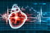 Les maladies cardiovasculaires touchent le cœur et les vaisseaux sanguins. © Sergey Nivens, Shutterstock
