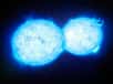CK Vulpeculae est une étoile entourée d'une nébuleuse de la constellation boréale du Petit Renard, observée en 1670 sous la forme d'une nova, la première attestée du genre. La détection de molécules radioactives dans sa nébuleuse révèle aujourd'hui qu'elle est plus vraisemblablement le produit d'une collision de deux étoiles peu massives.