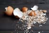 Les 15 milliards d’œufs pondus chaque année en France produisent 40 000 tonnes de coquilles. Un procédé breveté de la start-up Circul’Egg permet désormais de les recycler !