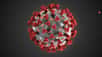 Cette illustration, créée aux Centers for Disease Control and Prevention (CDC), révèle la morphologie ultrastructurale des coronavirus. Notez les pointes, des protéines qui ornent la surface externe du virus donnant l'apparence d'une couronne entourant le virion, lorsqu'elles sont vues au microscope électronique. Un nouveau coronavirus, appelé syndrome respiratoire aigu sévère coronavirus 2 (SRAS-CoV-2), a été identifié comme la cause d'une épidémie de maladie respiratoire détectée pour la première fois à Wuhan, en Chine en 2019. La maladie causée par ce virus a été appelée maladie de coronavirus 2019 (Covid-19). © DP, Alissa Eckert, MS ; Dan Higgins, MAMS