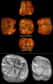 Une molaire perdue au milieu de restes humains vieux de 25.000 à 20.000 ans a semé un doute dans un groupe de chercheurs. Après analyse, il s’est avéré qu’elle avait en réalité 2 à 2,5 millions d’années. Il s’agit donc du plus vieux fossile d’homininé trouvé en Afrique centrale, puisqu’il provient d’Ishango en République démocratique du Congo.