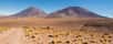 Dans un désert, comme le désert d’Atacama, il fait chaud et il ne pleut pas. L'endroit est donc très sec. Mais le désert d'Atacama est-il vraiment l’endroit le plus sec de la planète ? Contrairement aux idées reçues, d'autres régions non désertiques peuvent aussi être particulièrement sèches. Ainsi les zones très froides peuvent aussi manquer de pluie, comme c'est le cas de… l'Antarctique !
