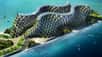 Coral Reef : un nouveau village pour Haïti