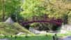 Les jardins Albert Kahn : un jardin japonais aux portes de Paris