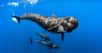 Il est bien plus vaste que les terres émergées. Et sa biodiversité est incroyablement riche. Pourtant, pendant longtemps, le monde sous-marin est resté mystérieux. Les Hommes ne se sont lancés à sa découverte qu’assez récemment.C’est dans les profondeurs — ou parfois plus en surface — des océans que Greg Lecœur, photographe engagé, nous invite ici. Grand requin-marteau, poisson-voilier, crocodile de Cuba, fou de Nazca ou encore iguane marin. Des rencontres animalières tour à tour effrayantes, attendrissantes ou amusantes mais qui font toutes réfléchir à notre responsabilité en matière de préservation de l’environnement.