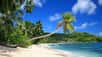 L’archipel des Seychelles a beaucoup d’atouts. Son climat, d’abord : situées à faible distance de l’équateur, les Seychelles sont à l’abri des cyclones qui ravagent fréquemment le reste de l’océan Indien ; la douceur de l’alizé de sud-est alterne chaque année avec une mousson modérée de nord-ouest. La géologie particulière des îles des Seychelles les a dotées de plages d’une beauté à couper le souffle, semées de roches granitiques aux formes suggestives. La douceur du climat permet le développement d’une flore et d’une faune limitées mais exceptionnelles, dont de nombreuses plantes curieuses et endémiques (outre le coco de mer également connu sous le nom de coco-fesse, l’arbre méduse et l’arbre-pieuvre…) ou des animaux extraordinaires comme les tortues terrestres géantes, que l'on ne trouve, hors d’ici, qu’aux Galápagos, de l’autre côté de la Terre.