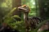 Avec Archaeopteryx apparaissent les premiers dinosaures-oiseaux, entièrement recouverts de plumes. On sait cependant que les plumes sont apparus bien plus tôt chez les dinosaures, sans qu’il soit clair si ces attributs recouvraient déjà l’ensemble de leur corps. Les scientifiques pourraient cependant avoir quelques réponses avec la découverte de ce fossile de Psittacosaurus.