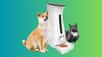 Le distributeur automatique de croquettes Nutrivision501C voit son prix fortement réduit chez Amazon. Ce modèle propose une caméra intégrée et des contrôles connectés, de quoi simplifier le quotidien des propriétaires de chats et chiens. L'offre garantit un prix attractif, tout en associant gain de temps et sérénité pour votre animal.
