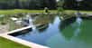Les piscines naturelles font leur apparition dans les jardins privés et même les lieux publics. Construction, réglementation, coût... tour d'horizon de ce qu'il faut savoir.