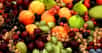 Fruits divers la nutrigénomique serait une piste&nbsp;pour une nutrition personnalisée.&nbsp;© Leo Reynolds - CC BY-NC 2.0