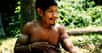 Déforestation, modernisme, braconnage, maladies... Les menaces qui pèsent sur les tribus isolées sont nombreuses, qu’elles soient au Brésil, au Pérou ou aux îles Andaman. Dans ce dossier, l’organisation Survival raconte leurs contacts avec le « progrès ».