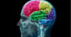 Les différents lobes du cerveau. © Allan Ajifo, Wikimedia commons, CC by-nc 2.0