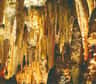 Le gouffre de Proumeyssac est la plus grande cavité aménagée du Périgord. Bâptisé "Cathédrale de cristal" de par la diversité et la densité des cristallisations qui ornent ses parois. On y descend en nacelle ou tunnel, 45 minutes de visite à couper le souffle.