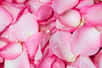 L’eau de rose est connue pour ses bienfaits sur la peau. Cet élixir assurerait une cure de jouvence. En plus d’apaiser les tissus cutanés, ce mélange à la douce odeur fleurie constituerait un soin du quotidien idéal pour les peaux sensibles. Cette réputation semble être justifiée.