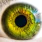 C’est la quantité de mélanine contenue dans l'iris qui détermine la couleur des yeux.