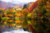 Paysage d'automne, saison où les arbres se teintent d'or et de pourpre. © Milan, Adobe Stock