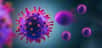 Les personnes âgées, dont la température corporelle moyenne est plus basse que celle des plus jeunes, sont également moins résistantes aux infections virales. Des chercheurs japonais ont mis en évidence le rôle du microbiote intestinal dans le mécanisme de résistance à la grippe et au SARS-CoV-2.