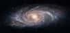 Une galaxie spirale, à l'image de la Voie Lactée. © Tryfonov,  Adobe Stock