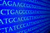 La génomique analyse la structure et la fonction des génomes. © sergunt, Fotolia