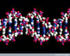 L'ADN ne fait que porter le code génétique. L'épigénétique donne les moyens à la cellule de l'interpréter le mieux possible. © Peter Artymiuk, Wellcome Images, Flickr, cc by nc nd 2.0