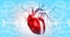 La péricardite est l’inflammation de l’enveloppe cardiaque. © Rasi, Adobe Stock