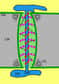 Schéma structurel d’un plasmodesme. Le plasmodesme traverse les parois cellulaires (CW) et relie les membranes (PM). Un desmotube (DM) reliant deux réticulums lisses (ER) contrôle le passage des molécules. © Smartse, Wikimédia CC by-sa 3.0