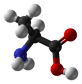 L'alanine est un acide aminé hydrophobe (carbone en noir, oxygène en rouge, azote en bleu et hydrogène en blanc). © Domaine public