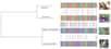 Le barcoding moléculaire permet de déterminer l'espèce d'un échantillon. &copy; Herbet et al. 2004, Plos Biology