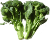 Les brocolis sont une des sortes de choux que l'on peut consommer. © Wikimedia Commons