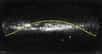 La ceinture de Gould est indiquée par une bande jaune sur cette image de la Voie lactée. © Lund Observatory/Megan
