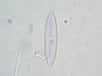 La diatomée est une microalgue planctonique.&nbsp;© Fabelfroh,&nbsp;Flickr, CC by nc-sa 2.0
