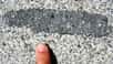 On voit ici un morceau de gabbro (une roche plutonique) pris dans du granite, ce qui constitue un xénolite. Cette roche provient du Rock Creek Canyon en Californie, à l'est de la sierra Nevada. © Mark A. Wilson, Wikipédia