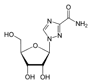 La ribavirine ressemble à la guanosine, une molécule naturellement synthétisée par l'organisme. Crédits DR.
