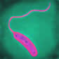L'agent du choléra est la bactérie Vibrio cholerae, une bacille à flagelle. © AJC1, Flickr, CC by-nc 2.0