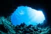 Des plongeurs ont trouvé des passages entre les grottes sous-marines de Sac Actun et Dos Ojos, au Mexique. Ensemble, ces dernières forment ainsi la plus grande grotte sous-marine connue du monde ! Le site est précieux pour l’eau douce qu’il renferme ainsi que pour sa biodiversité et ses trésors archéologiques.