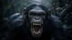 Selon les chercheurs, il est possible que la guerre des chimpanzés de Gombe ait contribué à l'apparition de violence transgénérationnelle. © Andres Mejia, AdobeStock (généré par IA)