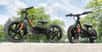 La célèbre marque de motos Harley-Davidson poursuit sa diversification avec l'annonce de deux vélos d'équilibre à assistance électrique destinés aux enfants entre 3 et 7 ans.