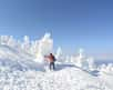 Le Japon a battu un record de neige en l'espace de quelques heures. © weniliou, Adobe Stock