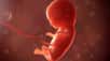 Oligoamnios et anamnios signifient un manque de liquide amniotique pendant la grossesse. Quelles sont les causes de ce phénomène ? Quels sont les risques pour le bébé à naître ? Existe-t-il une prise en charge ?