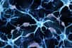 Une nouvelle étude dévoile comment le sommeil profond pourrait protéger notre mémoire malgré les signes précurseurs d'Alzheimer. Des chercheurs ont observé que les personnes bénéficiant d'un sommeil de qualité préservaient mieux leurs capacités cognitives, même en présence de protéines amyloïdes. Cette découverte ouvre des perspectives encourageantes pour lutter contre cette maladie neurodégénérative qui affecte des millions de personnes dans le monde.