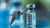 Le 25 avril, la HAS s’est prononcée en faveur d’un retrait des personnes de 65 ans et plus de la campagne de vaccination contre le chikungunya. © ImageKing, Adobe Stock (image générée avec IA)