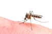 Des chercheurs français ont confirmé l'association entre l'infection par le virus Zika et le syndrome de Guillain-Barré en se basant sur les données de 2013-2014 en Polynésie française. Une perspective inquiétante au vu de l’ampleur de l’épidémie qui touche actuellement l’Amérique latine.