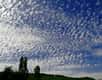 Avez-vous déjà eu l'impression d'apercevoir des moutons par centaines dans le ciel ? Rassurez-vous, vous n'êtes pas les seuls. Les nuages moutons sont un phénomène bien réel, qui peut être observé régulièrement en France, comme dans le reste du monde.